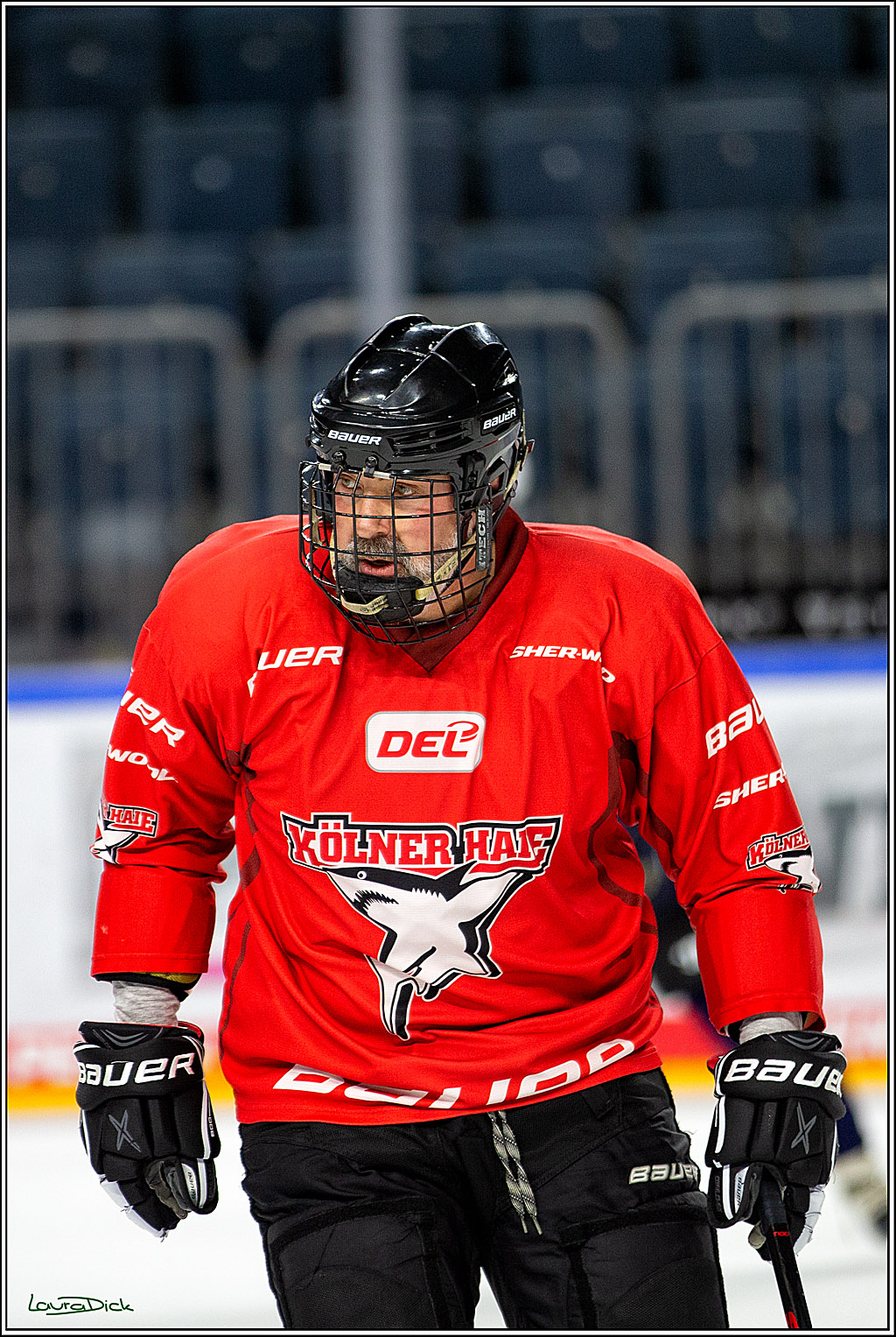 PENNY DEL; Koelner Haie- Red BUll Muenchen Sponsorenspiel; Koeln, 08.11.2022